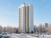 Серия Копэ